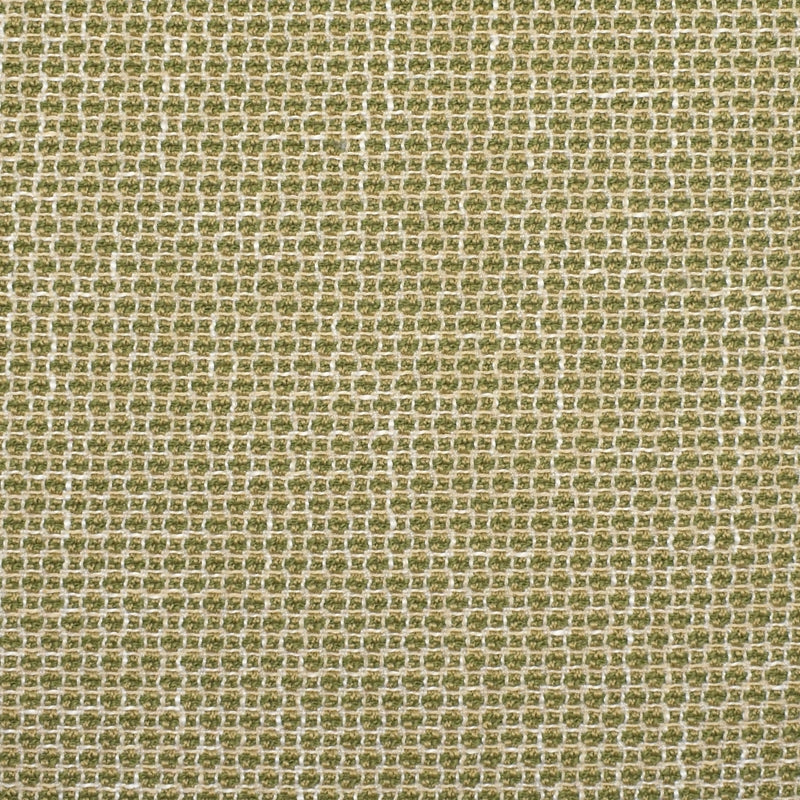 Purchase F2353 Cactus Green  Greenhouse Fabric