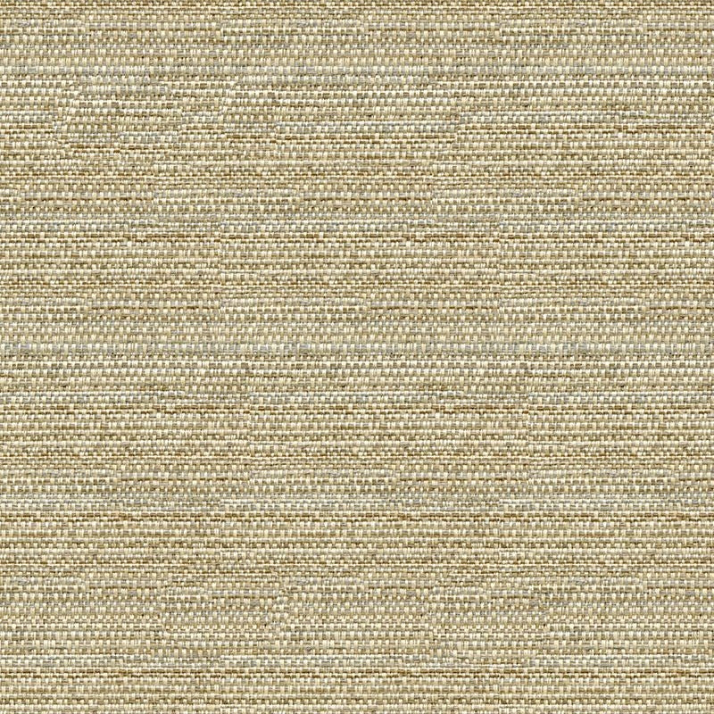 View 34869.1611.0 Helm Dune Ethnic Beige by Kravet Design Fabric