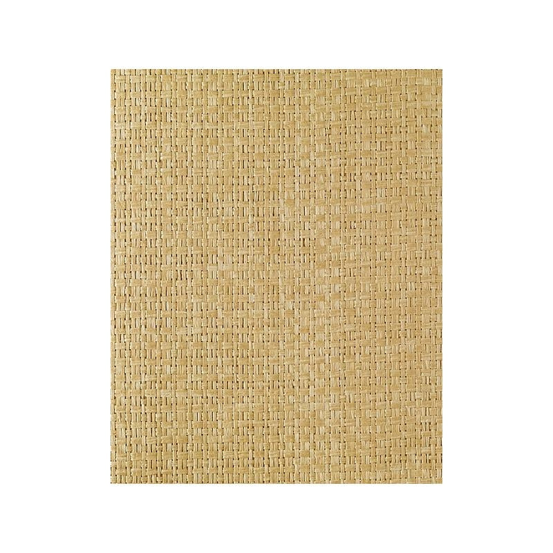 Sample EW3137 East WindsIII by Washington Wallcovering