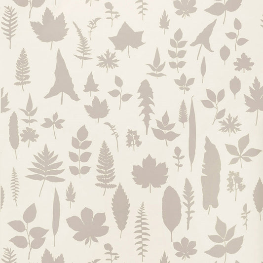 Shop 5005020 Leaves Platinum Schumacher Wallpaper