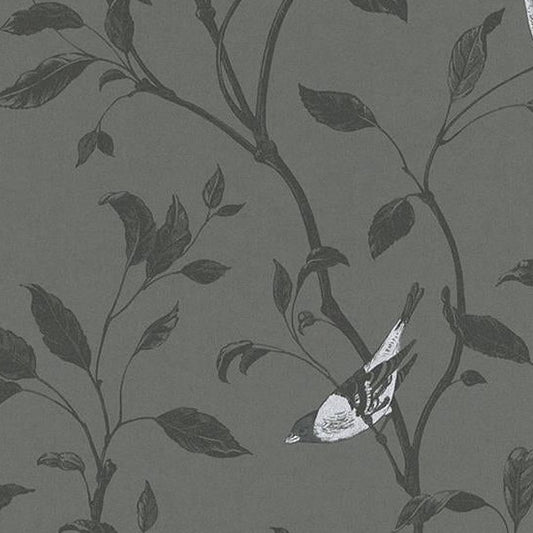 Save 798968 Tendresse Black Birds by Washington Wallpaper