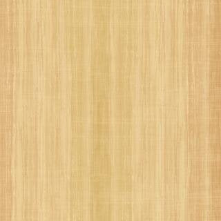 Save DS20401 Dorsino Browns Painted Effects by Seabrook Wallpaper