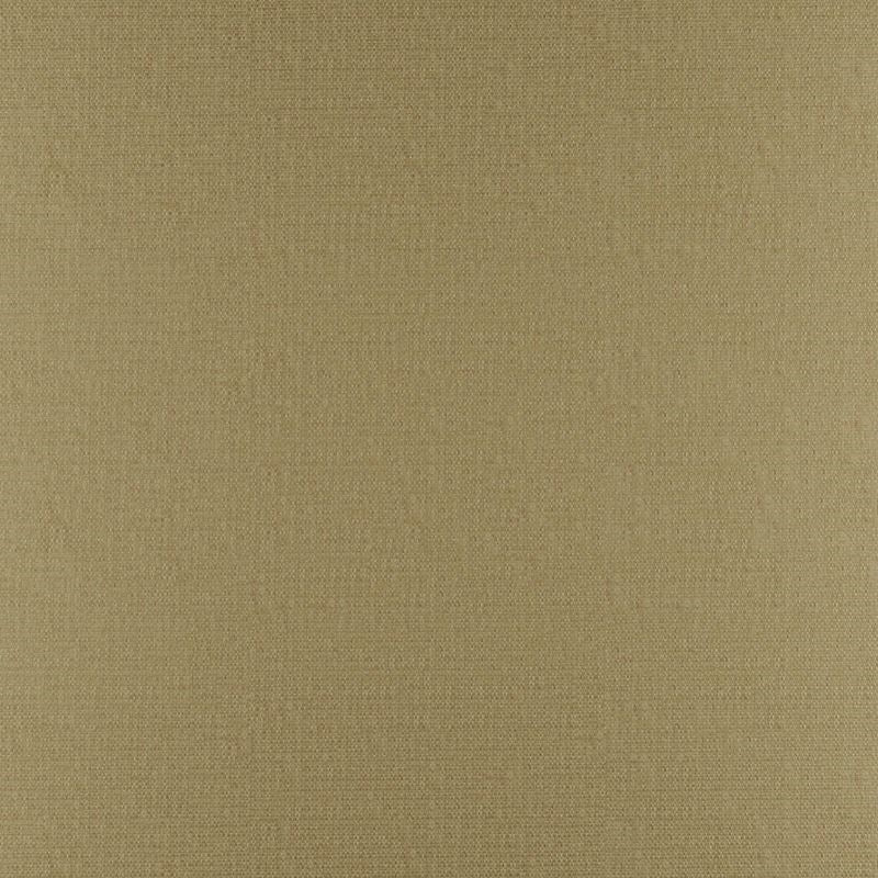 Sample PY1315 Phobos Cane by Maxwell