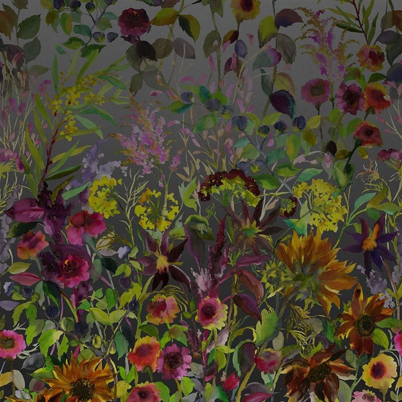 Sample PDG1068-01 Indian Sunflower Graphite by Designer Guild Wallpaper
