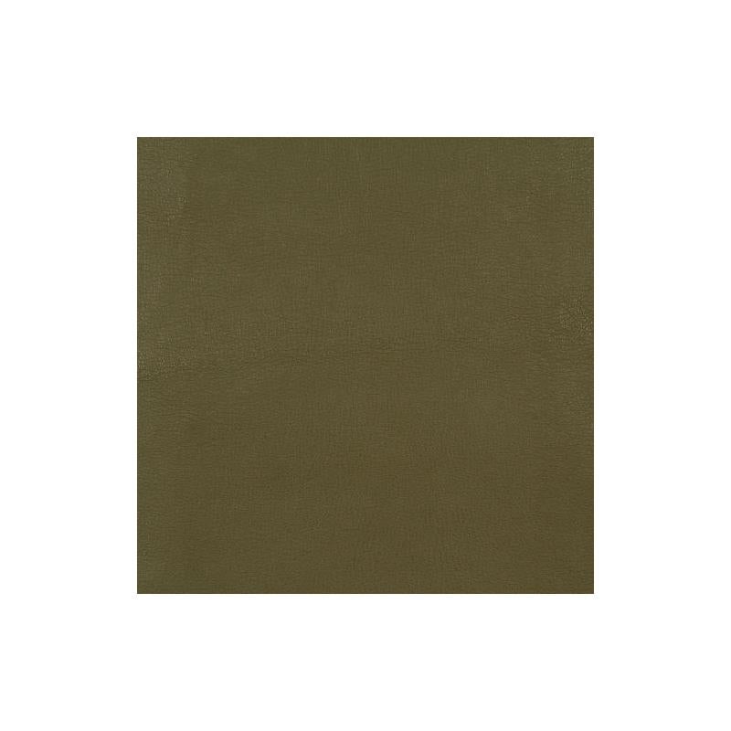 216621 | Rico | Olive - Robert Allen Contract Fabric