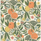 PLS4200 Pip &amp; Lo Ochre Clementine Garden Peel &amp; Stick Wallpaper by NuWallpaper