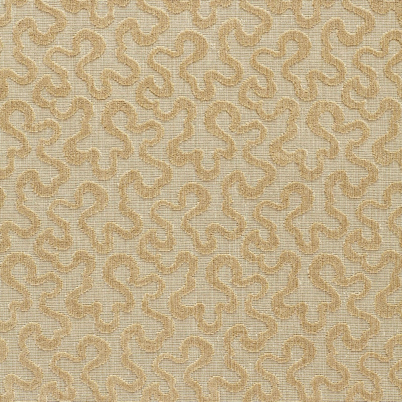 Purchase sample of 64764 Vermicelli Velvet, Camel by Schumacher Fabric