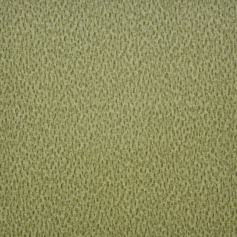 SKA212 | Spotlight Grasslands by Maxwell Fabric