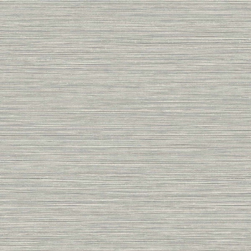Looking BV30108 Texture Gallery Grasslands Cove Gray by Seabrook Wallpaper
