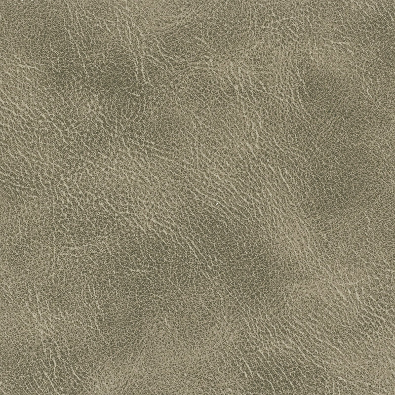 Sample Radn-3 Radnor 3 Flint By Stout Fabric