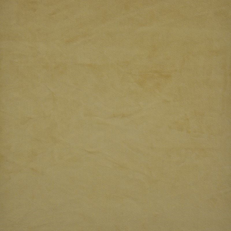 Sample FL7520 Firenze Butterscotch by Maxwell