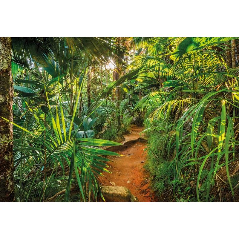 8-989 Colours  Jungle Trail Wall Mural by Brewster,8-989 Colours  Jungle Trail Wall Mural by Brewster2
