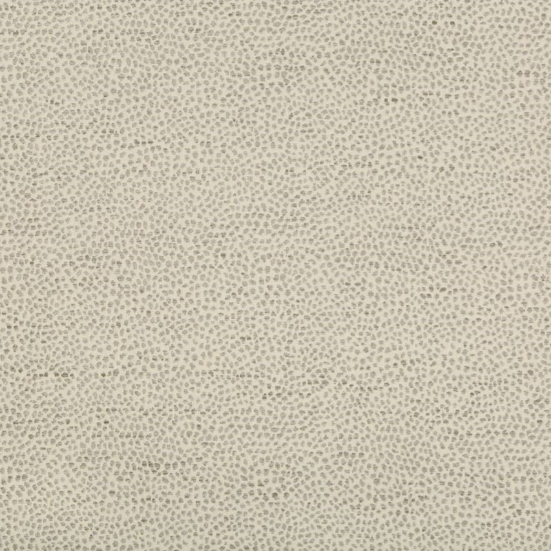 Acquire 35595.11.0  Skins Light Grey by Kravet Design Fabric