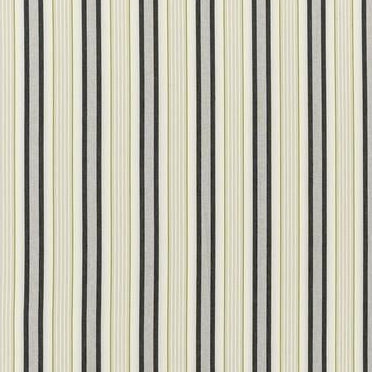 Acquire F1430/02 Belvoir Charcoal/Chartreu Stripes by Clarke And Clarke Fabric