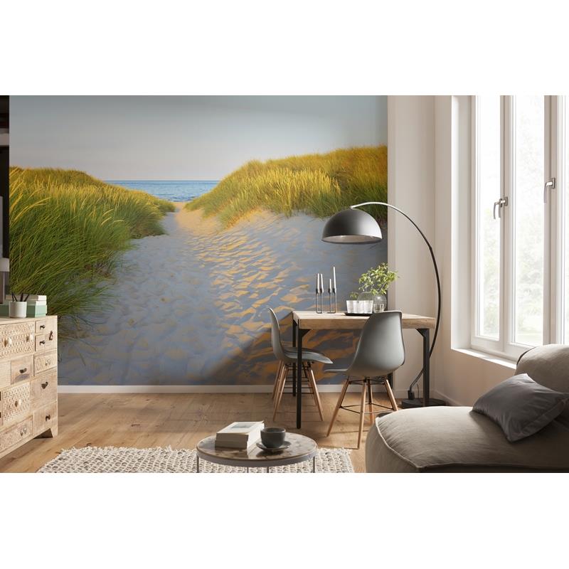 8-995 Colours  Sandy Path Wall Mural by Brewster,8-995 Colours  Sandy Path Wall Mural by Brewster2