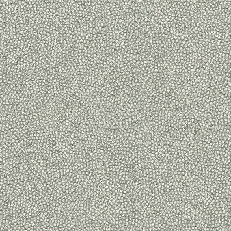 Buy 34126.511.0 Brecken Vapor Skins Blue by Kravet Design Fabric