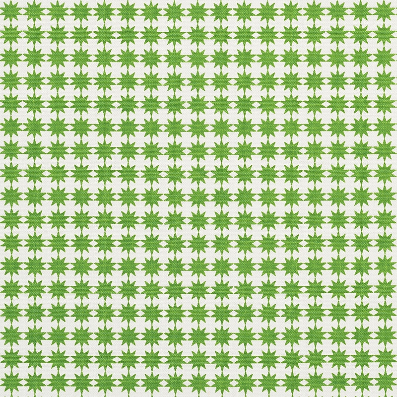 Looking 177082 Stella Green by Schumacher Fabric