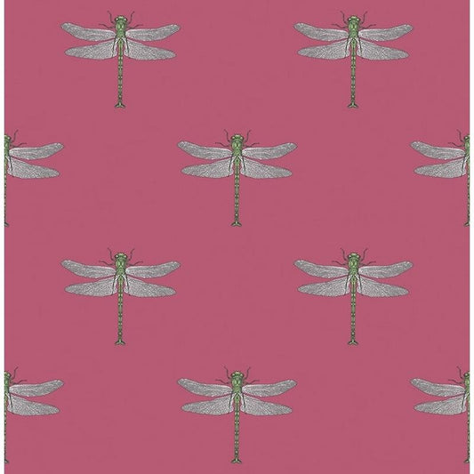 View TA20301 Tortuga Black Dragonfly by Seabrook Wallpaper