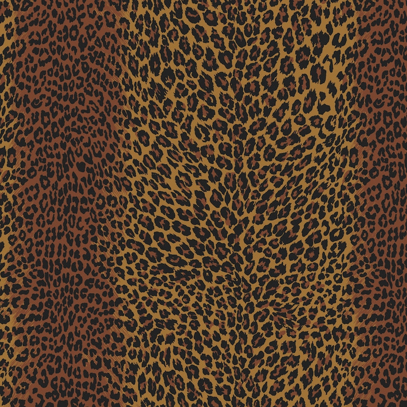 Acquire P8015103.46 Leopard Chocolate by Brunschwig Fils