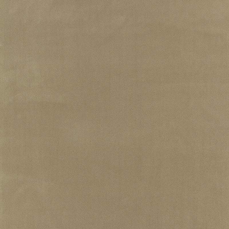 Sample Bk 0005K65122 Richmond Velvet, Putty By Boris Kroll Fabric