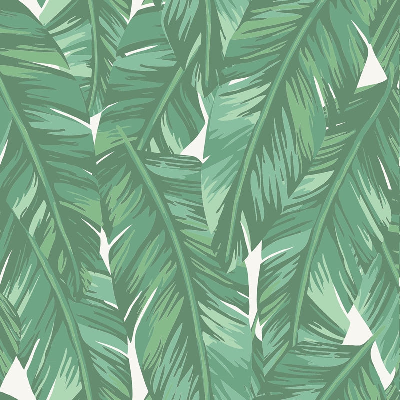 Sample DD139014 Design Department, Dumott Green Tropical Leaves Wallpaper by Brewster