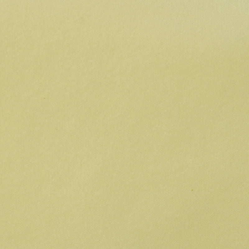 View A9 0001T019 Safety Velvet Vanilla by Aldeco Fabric