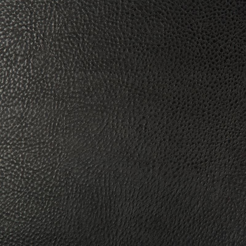 Buy BEHOLDER.8.0  Skins Black by Kravet Design Fabric