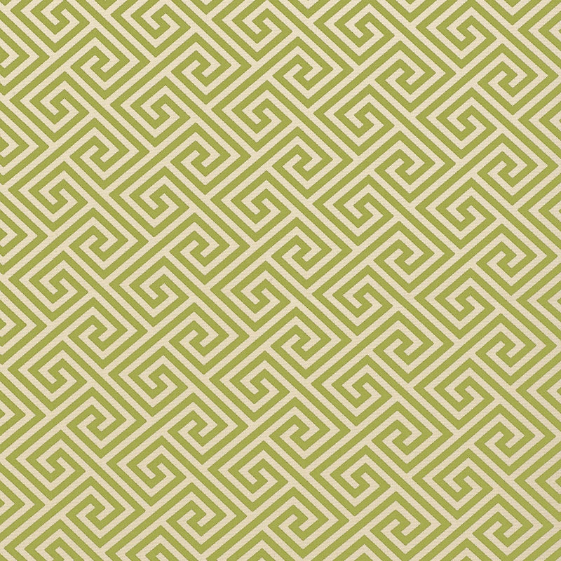 Purchase sample of 62904 St. Tropez, Avocado by Schumacher Fabric