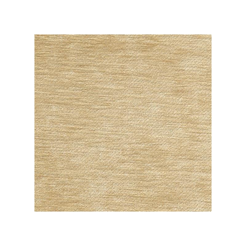 Sample 6371 Grace Eggshell Magnolia Fabric