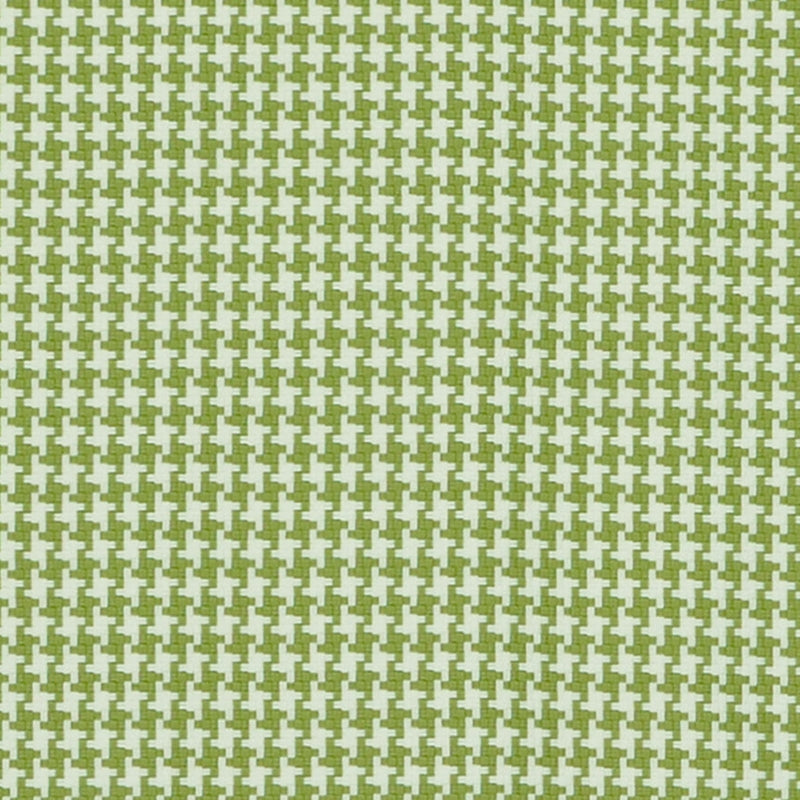 Find 10157 Od-Nora Celery Green Magnolia Fabric