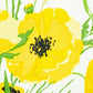 Looking 179060 Joni Chintz Yellow Schumacher Fabric