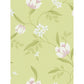 Sample 798852 green wallpaper Washington