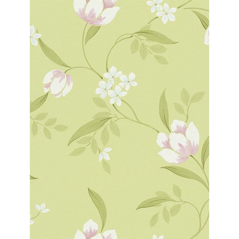 Sample 798852 green wallpaper Washington