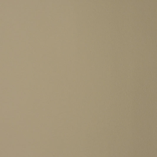 Shop F1857 Parchment Neutral Texture Greenhouse Fabric