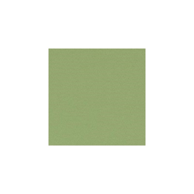 32810-609 | Wasabi - Duralee Fabric