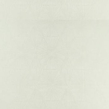 Acquire F1456/05 Blaize Silver Geometric by Clarke And Clarke Fabric