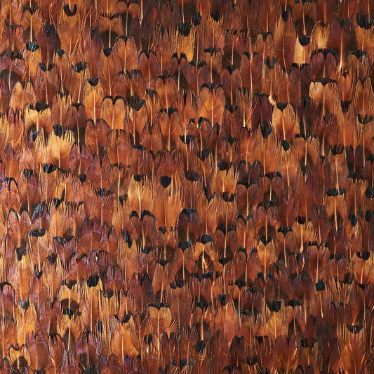Select 5008388 Copper Chocolate Schumacher Wallpaper