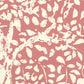 Sample 2035-03WP Arbre De Matisse Reverse, Shrimp on Off White by Quadrille Wallpaper