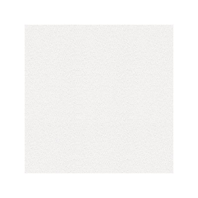 Sample 4000-1048-16 PaintWorks, Kiefer White Bark Paintable by Brewster Wallpaper