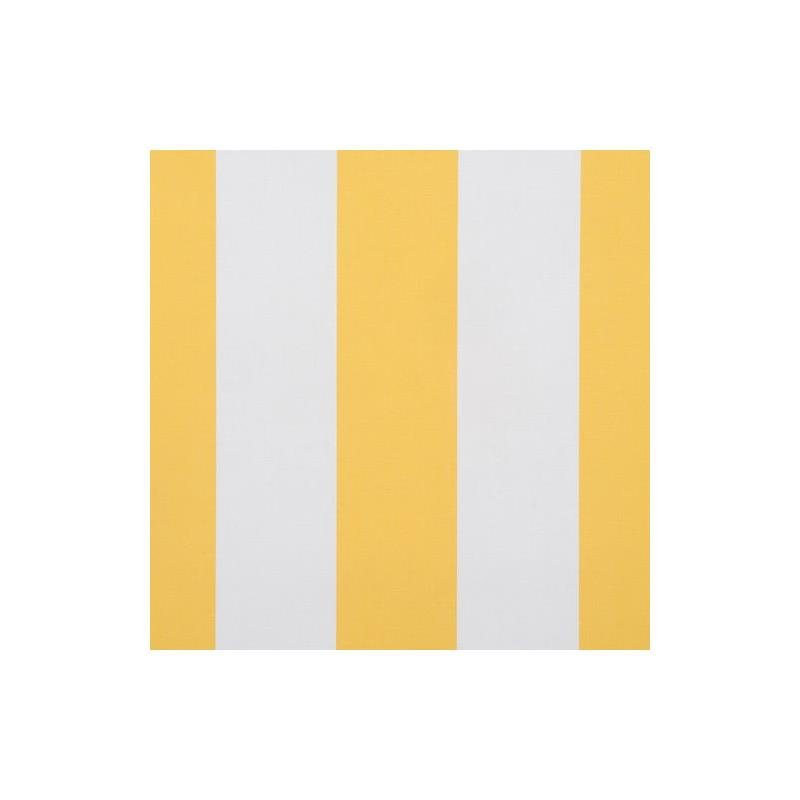 365725 | 65004Ld | 7-Lemon - Robert Allen Fabric