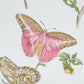 Buy 178720 Baudin Butterfly Chintz Blush Schumacher Fabric
