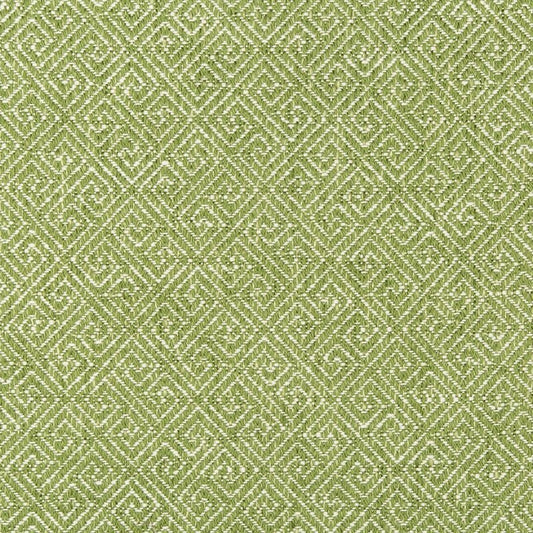 Shop 35607.3.0  Geometric Green by Kravet Design Fabric
