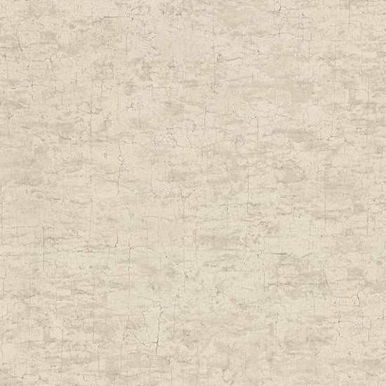 View 2921-51107 Warner Textures IX 2754 Main Street Pembroke Taupe Faux Plaster Wallpaper Taupe by Warner Wallpaper