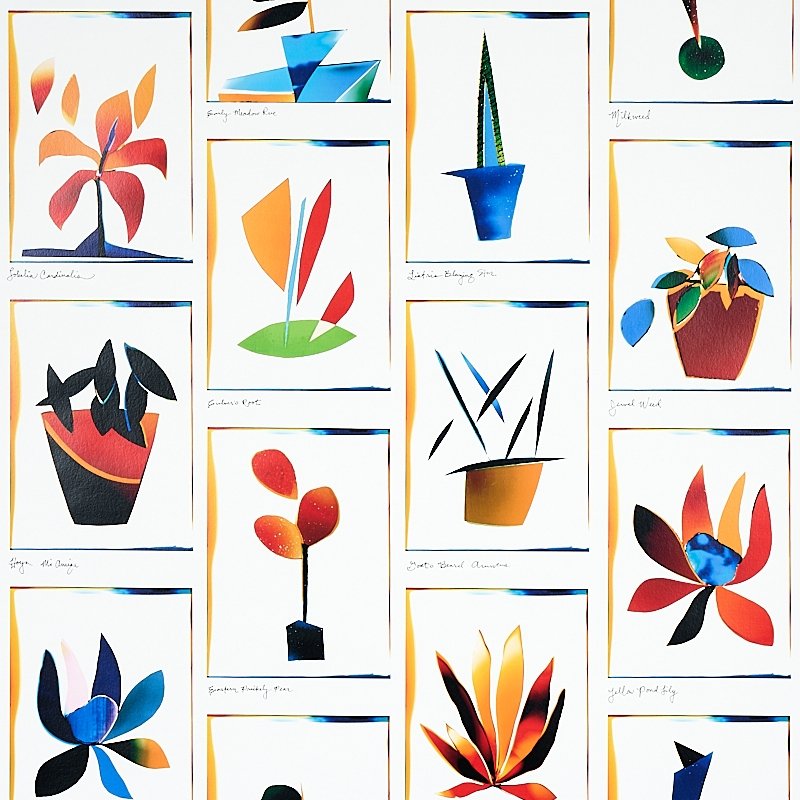 Acquire 5012690 Botanicals Spectrum Multi Schumacher Wallcovering Wallpaper
