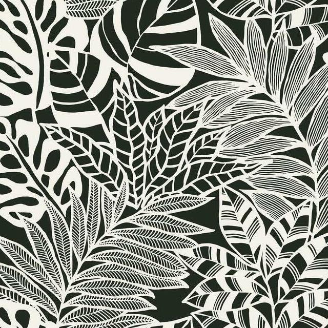 Order SS2575 Silhouettes Jungle Leaves Black York Wallpaper