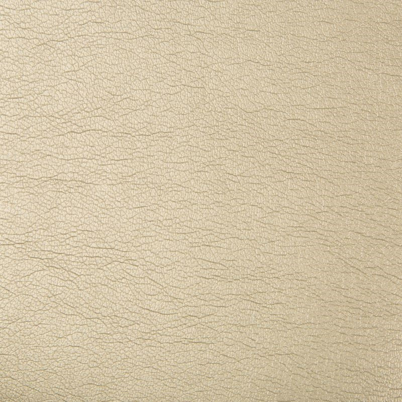 Purchase BRYCE.16.0  Metallic Beige by Kravet Design Fabric