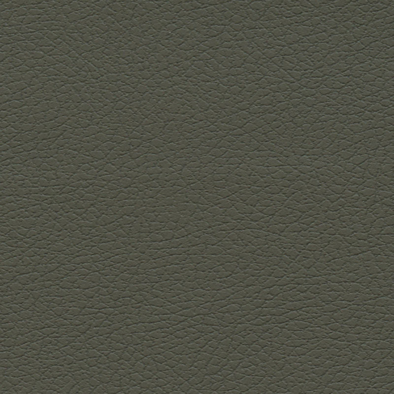 Purchase sample of 303-4488 Brisa, Olive by Schumacher Fabric