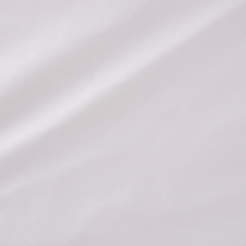 Purchase sample of 76980 Cecil Cotton Chintz, White by Schumacher Fabric