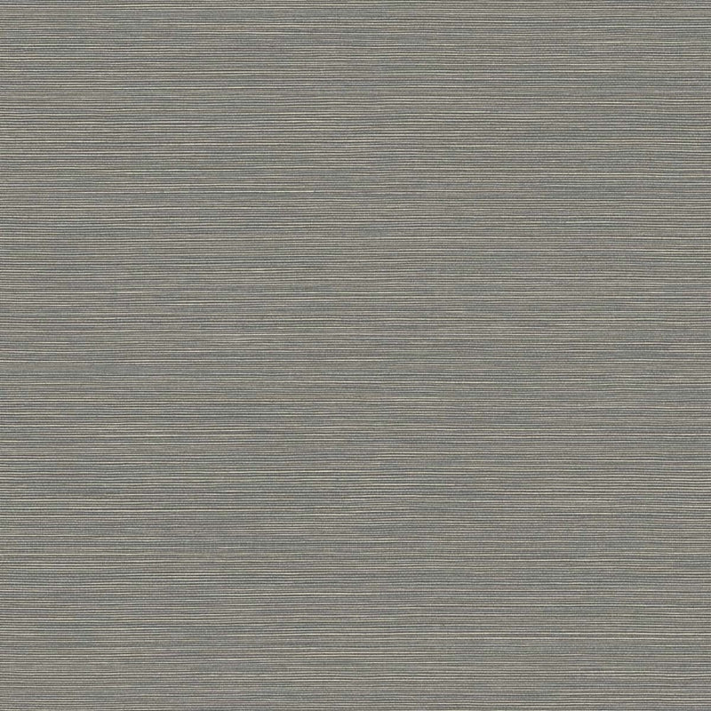 Acquire BV30408 Texture Gallery Coastal Hemp Slate and Shine by Seabrook Wallpaper