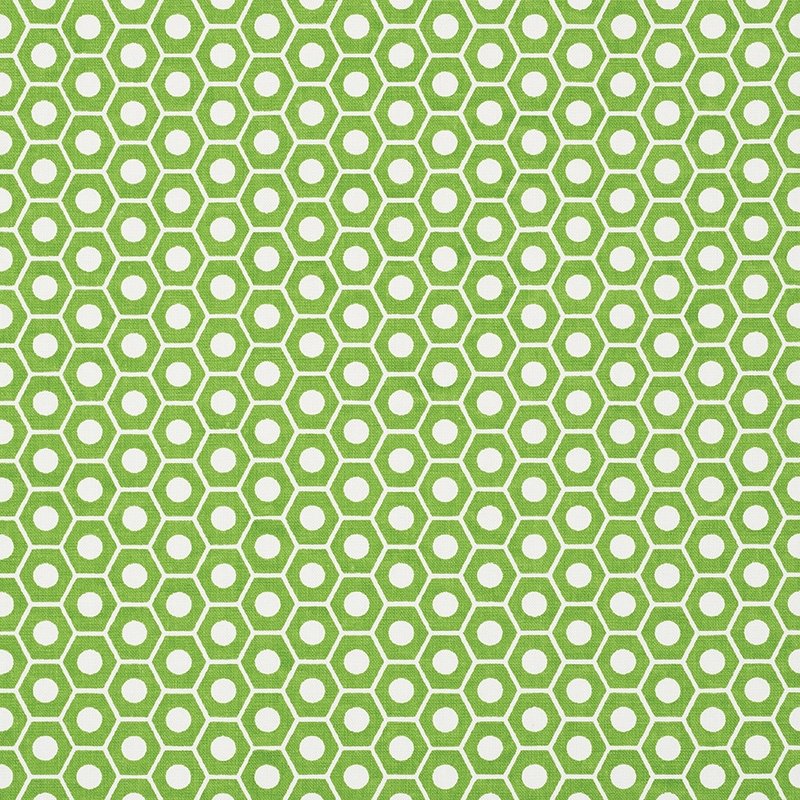 Purchase sample of 177075 Queen B, Green by Schumacher Fabric